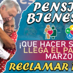 Pensión Bienestar 65 y más: Que hacer si no te llega el PAGO en marzo